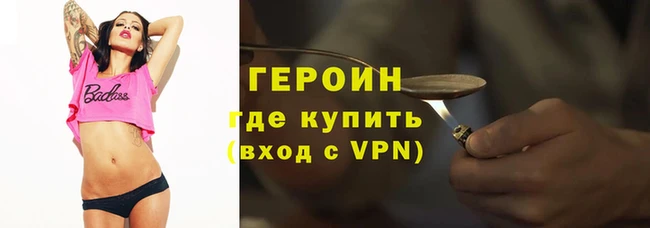 шишки Няндома
