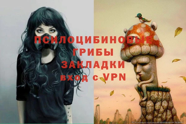 скорость Осташков