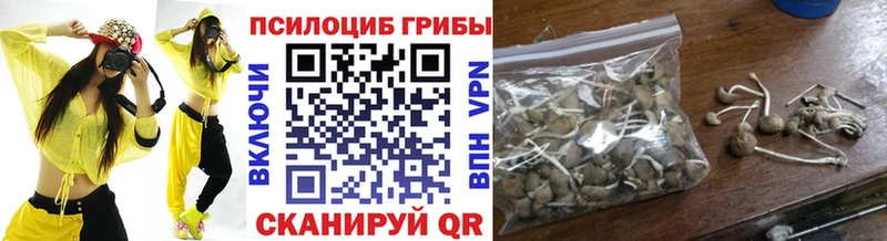 Галлюциногенные грибы Magic Shrooms  Покров 